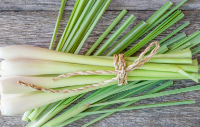 Zitronengrasöl (Cymbopogon citratus)