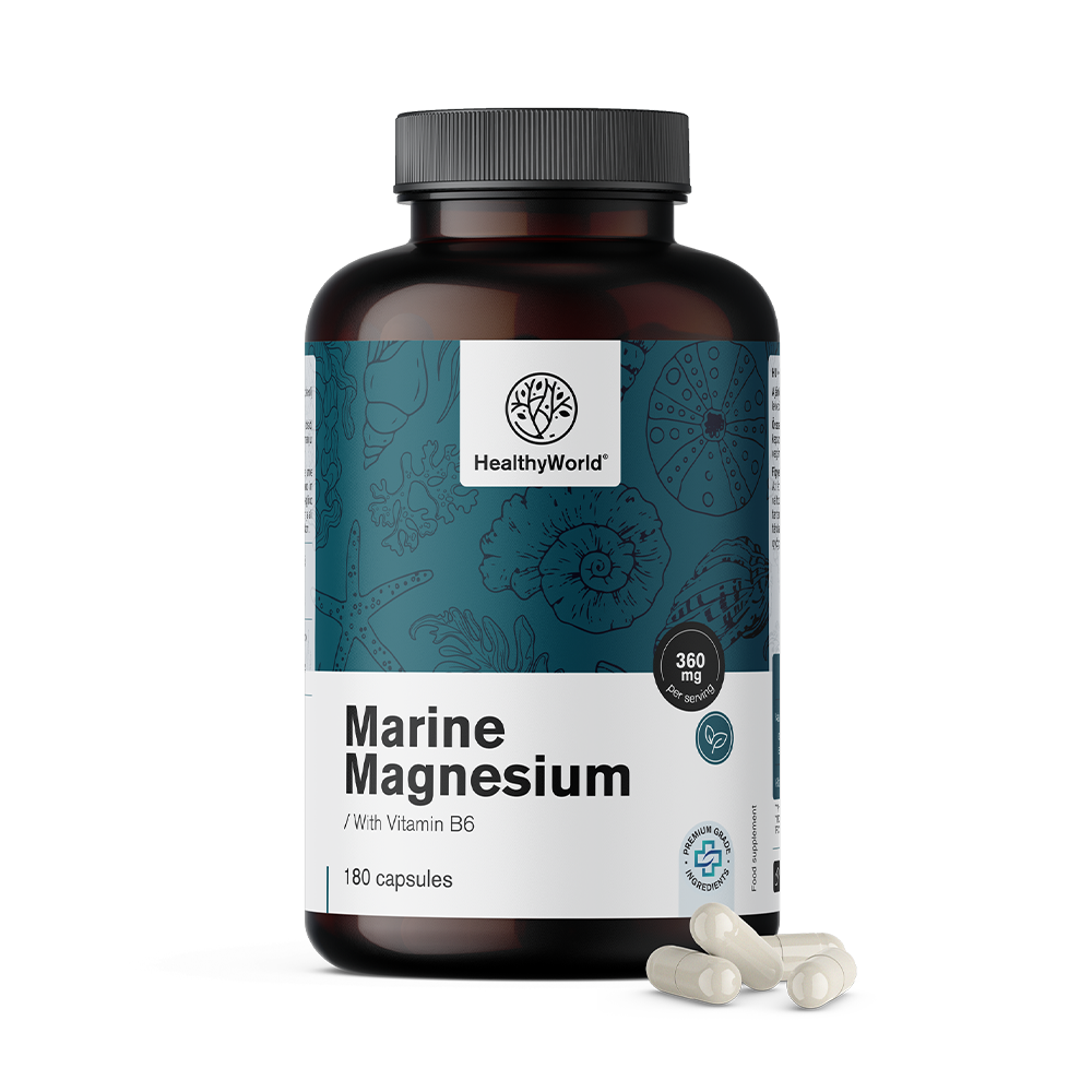 Meeresmagnesium 360 mg