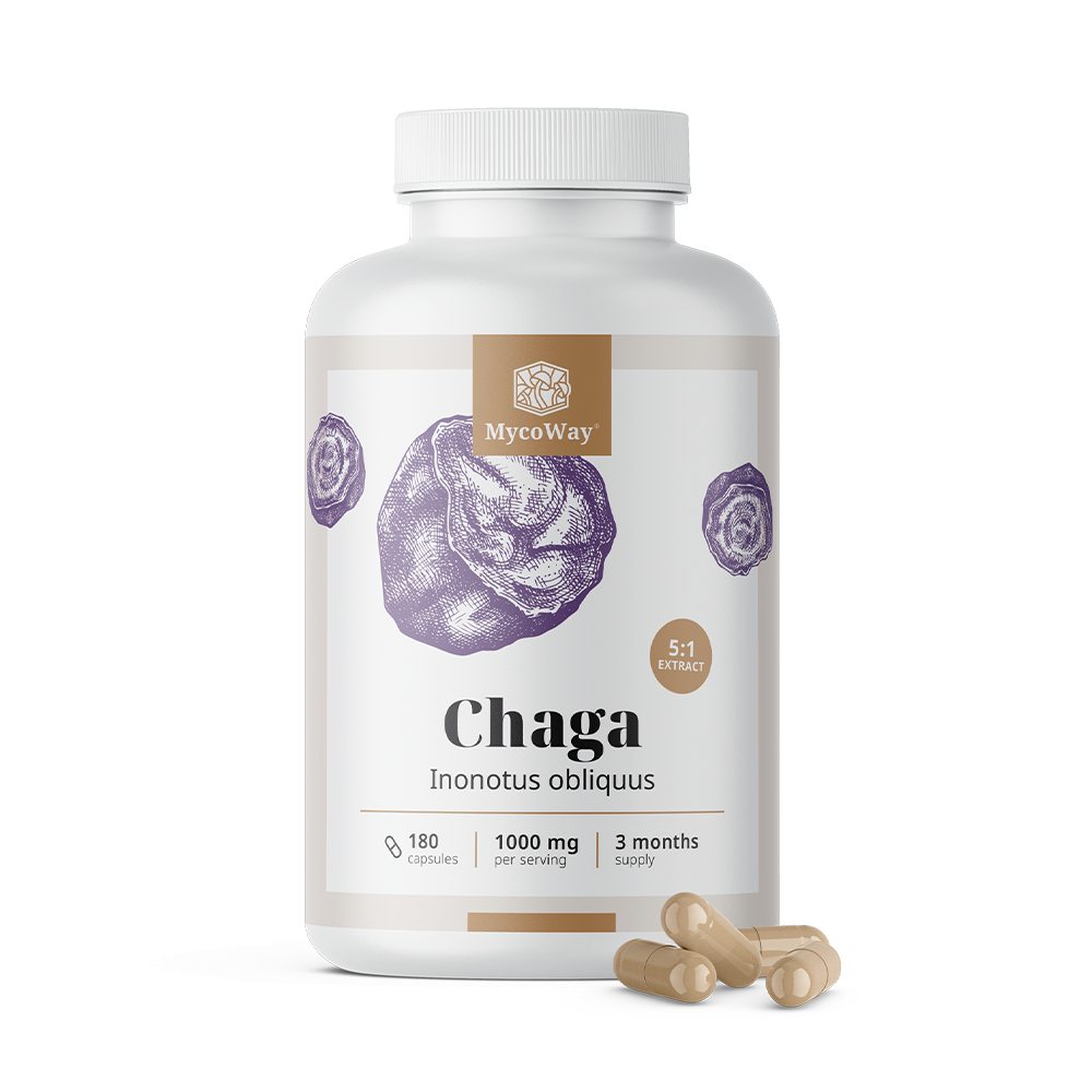 Chaga 1000 mg – Extrakt 5:1